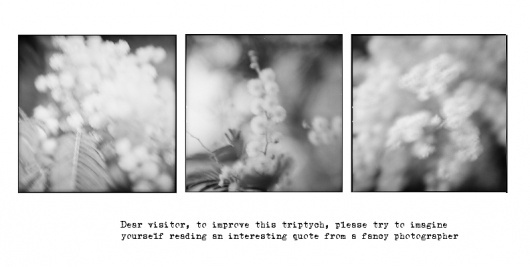 Main : Carlos Borrego Iglesias - Photography #tryptic