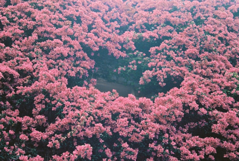 Jaka Bulc | PICDIT #photo #photography