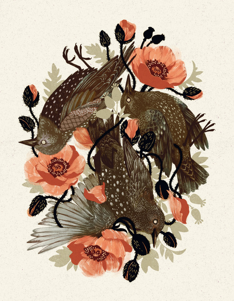 Spangled & Plumed Art Print by Teagan White #print #floral #bird #illustration #nature #vintage #art