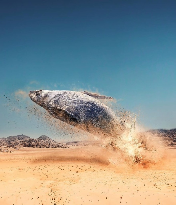 Incredible Photo Manipulations by Huseyin Sahin