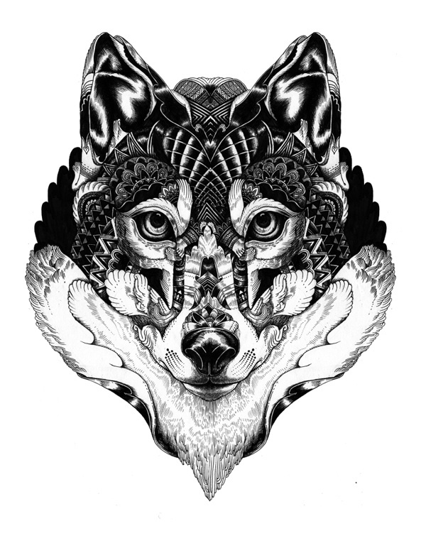 Wildlife part 2 on Behance #iain #wildlife #macarther