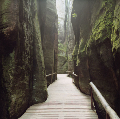 Drop Anchors #crevasse #path #cliff #chasm #photography #valley #moss