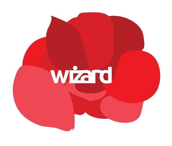 wizard #red #branding #africa #design #graphic #south #corporate #kimberley #identity #kate #logo #wizard #typography