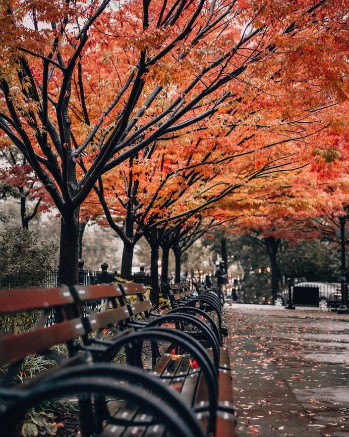 Spectacular Street Photos of New York City by Joe Thomas