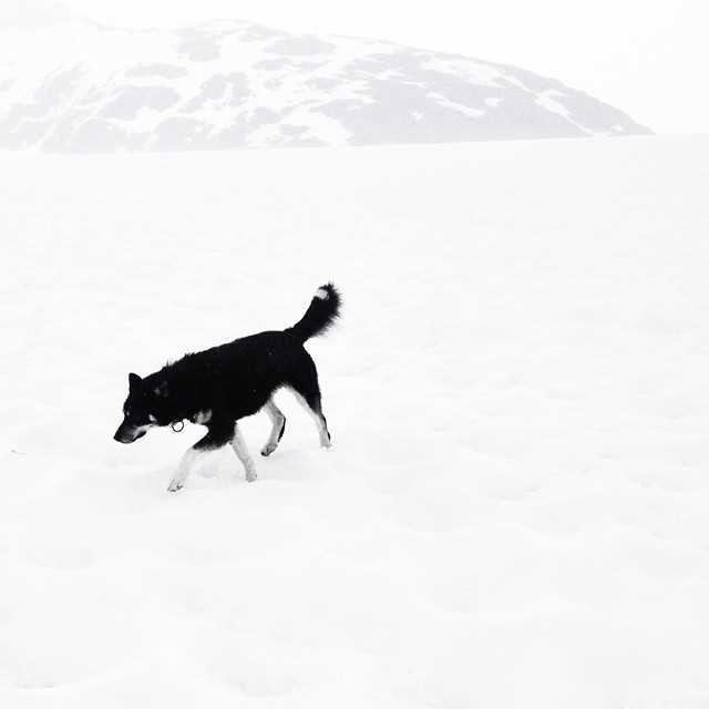 Instagrams by Katie Orlinsky #inspiration #photography #art