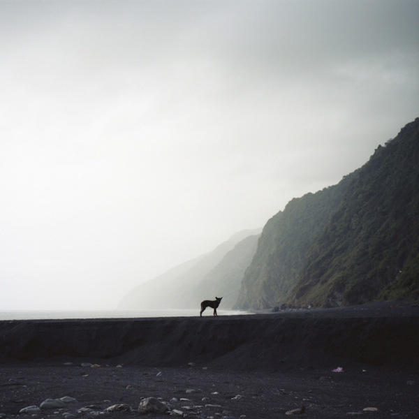 Tom Kondrat | PICDIT