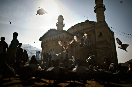 Afghanistan, February 2011 - The Big Picture - Boston.com #photograph