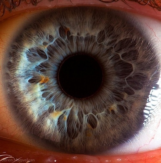 Your beautiful eyes on the Behance Network #eye #manvelyan #photography #suren #macro