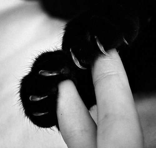 tumblr_li896xMFw11qajfdpo1_500.jpg (500×474) #tumblr #jpg #500 #500474 #li896xmfw11qajfdpo1