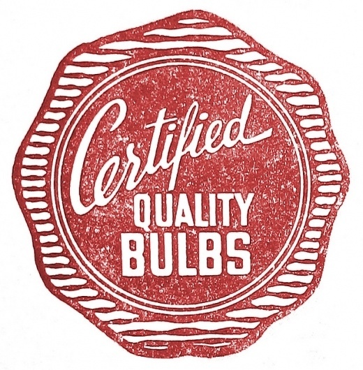 All sizes | Quality Bulbs | Flickr - Photo Sharing! #red #script #print #retro #vintage #logo