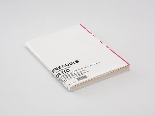 02-LIMITED-EDITION-1-book-perspective-b_b.jpg (1024×768) #editorial