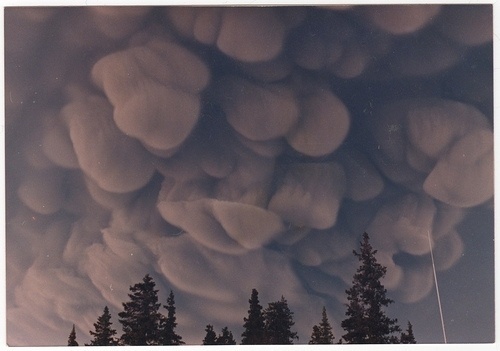 Augustine ash cloud | Flickr - Photo Sharing! #photography #ash #volcano #cloud