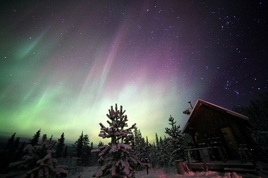 Small Cabin, Big Universe | Flickr - Photo Sharing! #activity #sky #lights #night #cartier #auroral #observations #david