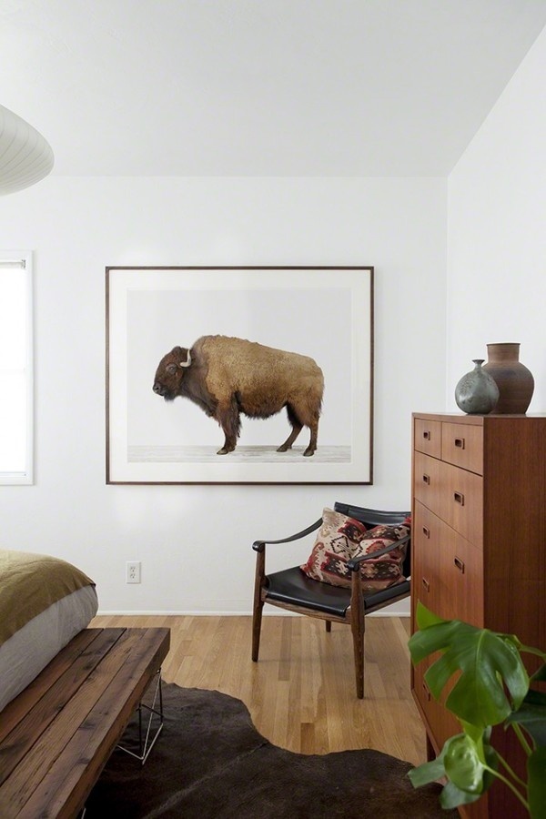 The Animal Print Shop #buffalo #bedroom