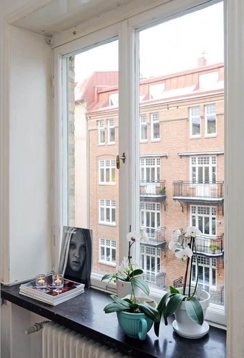 hom e #interior #window
