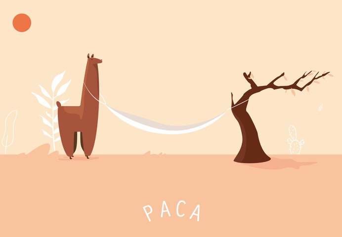paca-case5