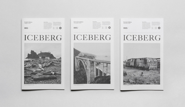 Iceberg - Sociodesign #cover #editorial #publication