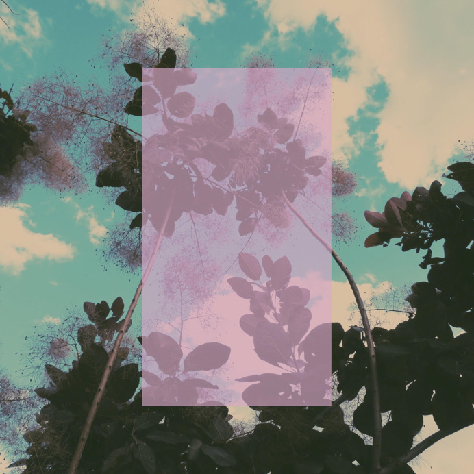 photography graphic design album