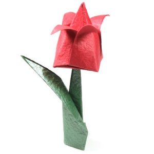 How to make a traditional origami tulip (http://www.origami-flower.org/howto-origami-tulip.php)