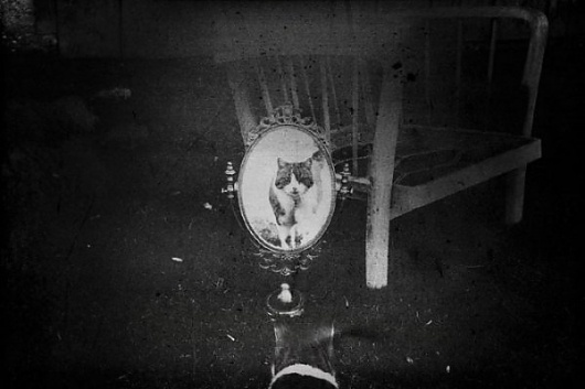 Photography by Katrina Spectre » Creative Photography Blog #inspiration #photography
