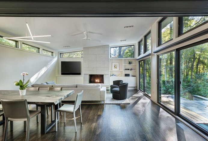 living room / Flavin Architects