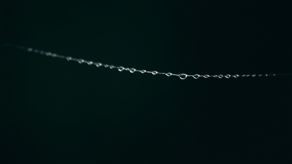 #cinemagraph