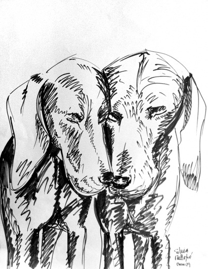 Rotulador 2009 | Silvia Mallofre #mallofre #silvia #weimaraner #illustration #dog