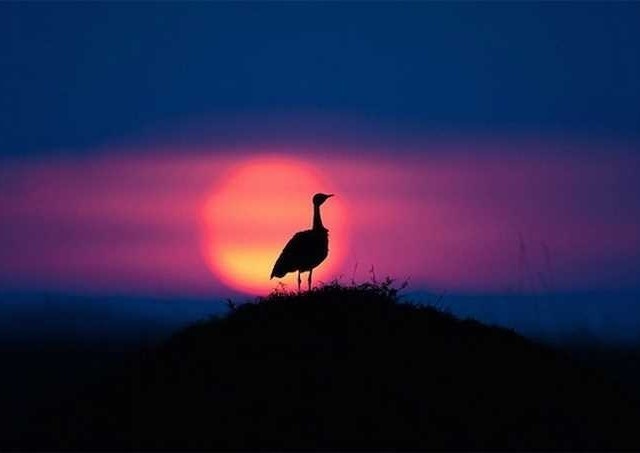 Sunsets in Kenya by Paul Goldstein #inspiration #photography #landscape