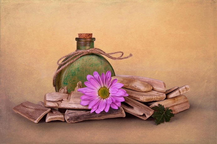 daisy painting & daisy paint by number #painting