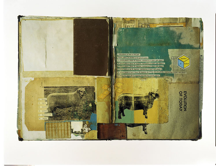 collage, worn, texture, mixed, vintage, weathered