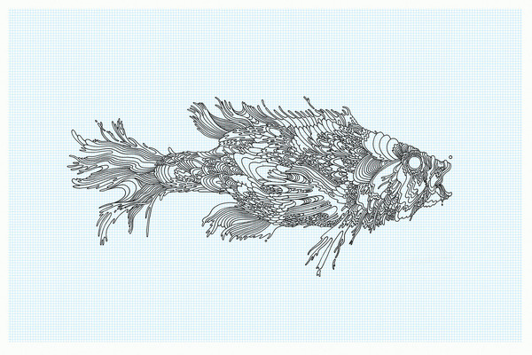 Fish drawing for West Elm 2011 (unused) #illustration #fish