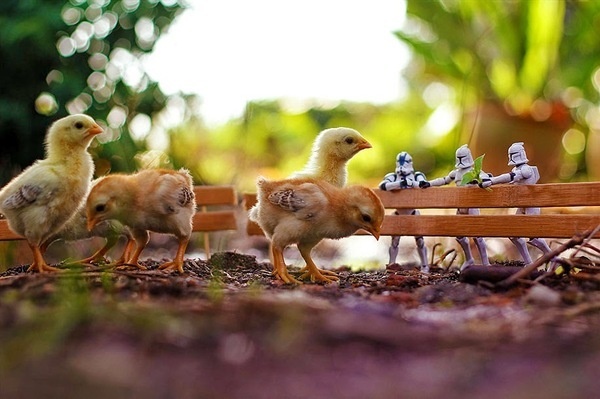 Star Wars Toys by Zahir Batin #inspration #photography #art