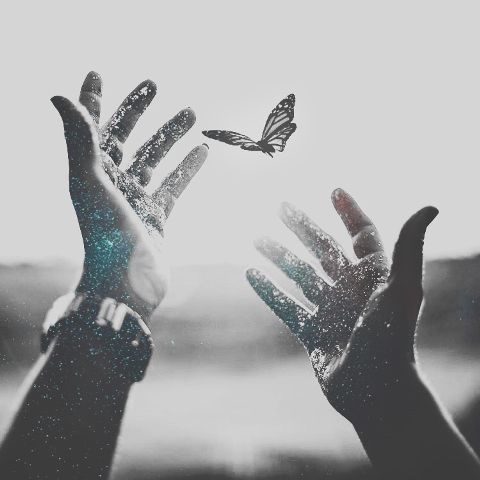 #Magic#butterfly