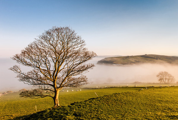 John Taggart #inspiration #photography #landscape