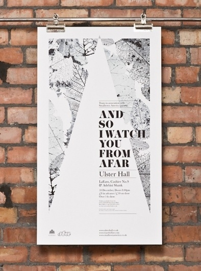 The Fox Is Black #design #graphic #poster #type #leaves