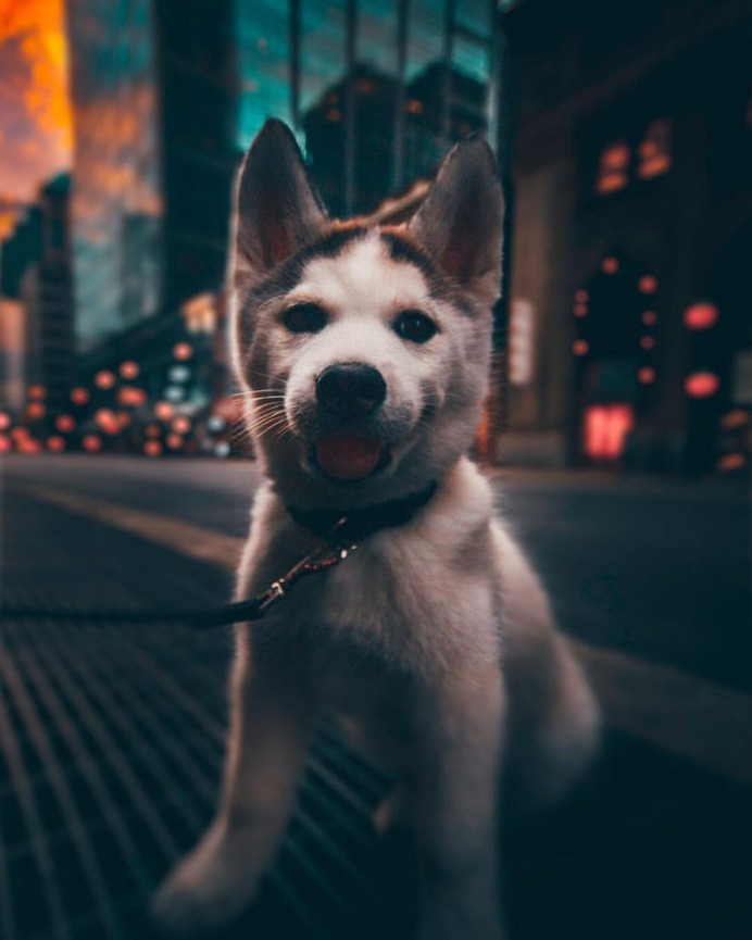 Moody Street and Urban Photography by Yeshi Kangrang