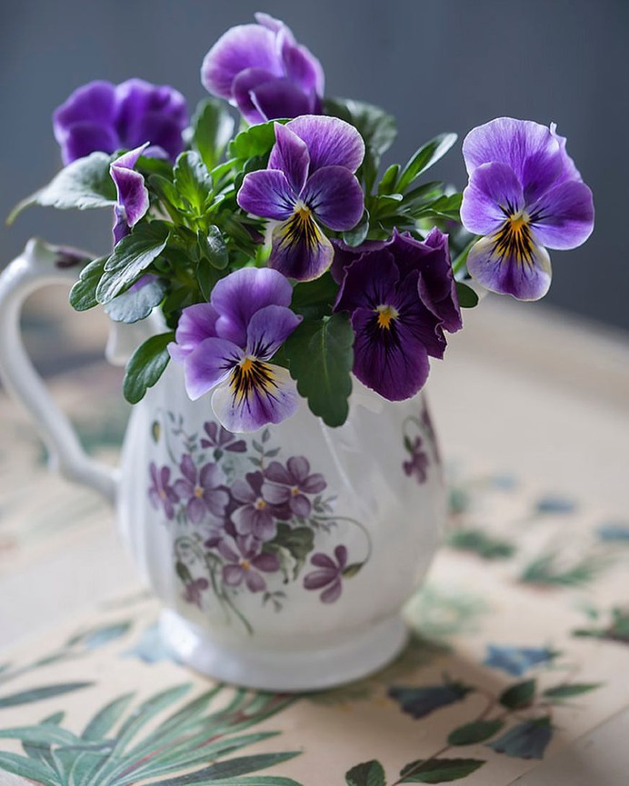 Absolutely Delightful Flowers Photography by Dianna Jazwinski