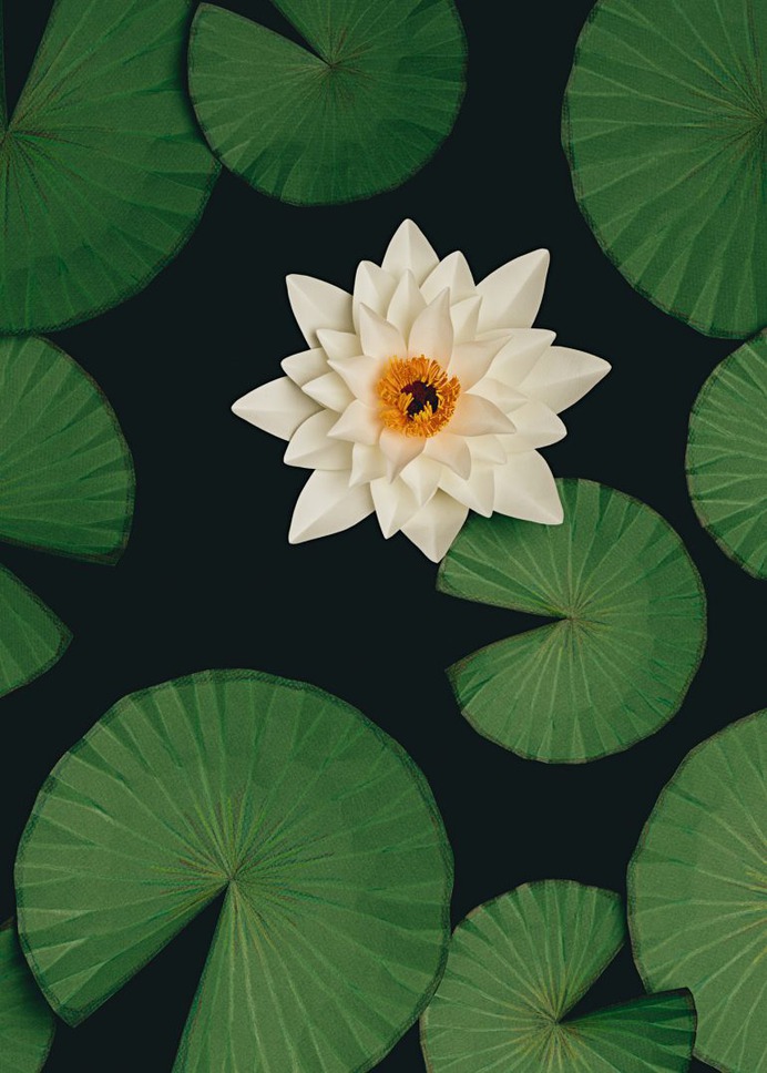 Paper Leaves
