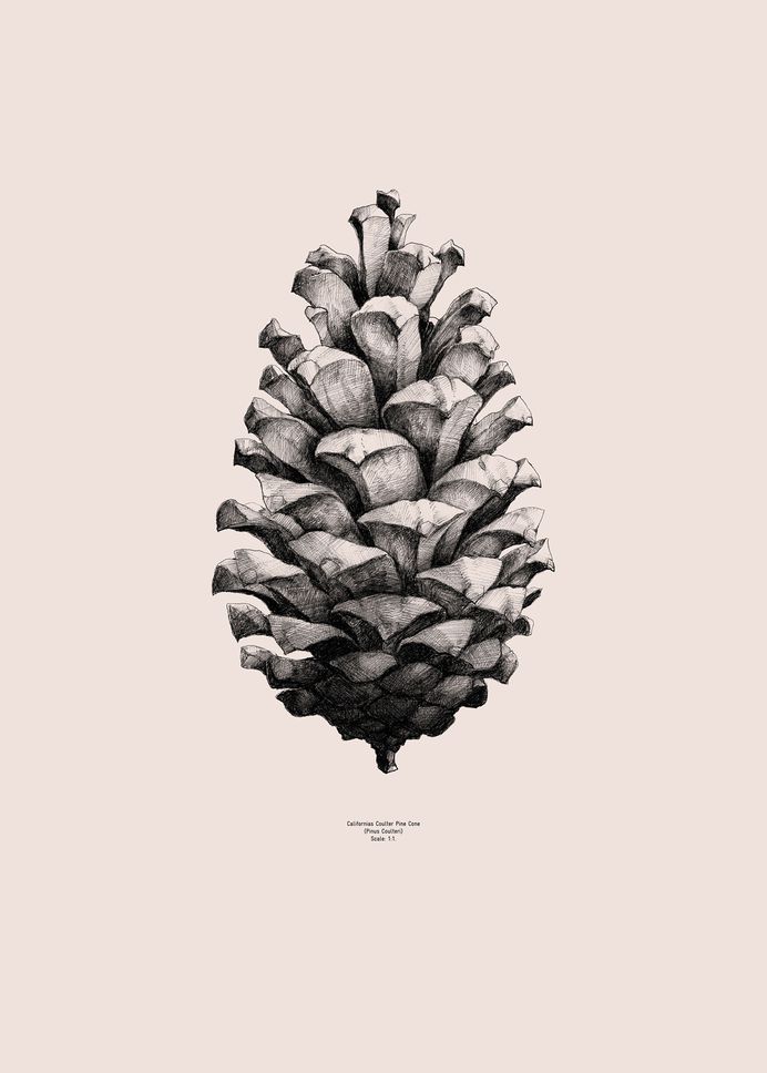 Form Us With Love — PAPER COLLECTIVE – Nature 1:1
