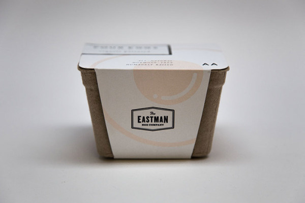 Eastman Egg by Stephanie Falaschetti