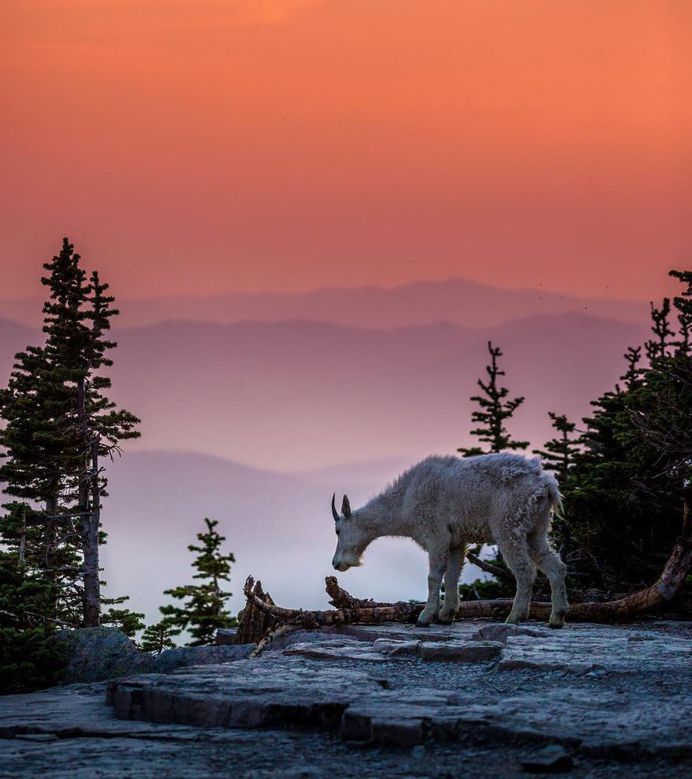 Breathtaking Travel Landscape Photography by Nicholas Parker