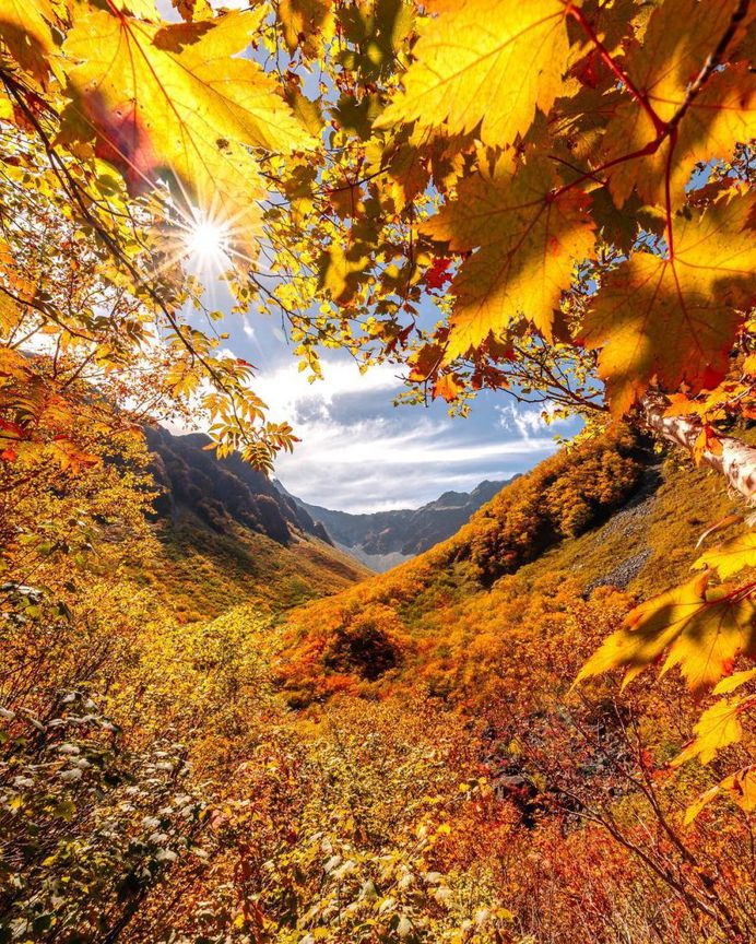 Colorful Autumn in Japan: Landscape Photography by Daisuke Uematsu