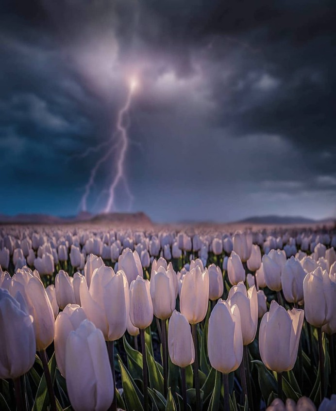 Epic Weather and Storm Photography by Brent Shavnore