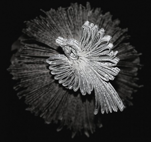 Colossal | art + design #art