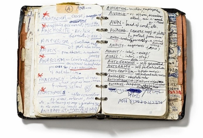 Nick Cave's Handwritten Dictionary #dictionary #handwritten