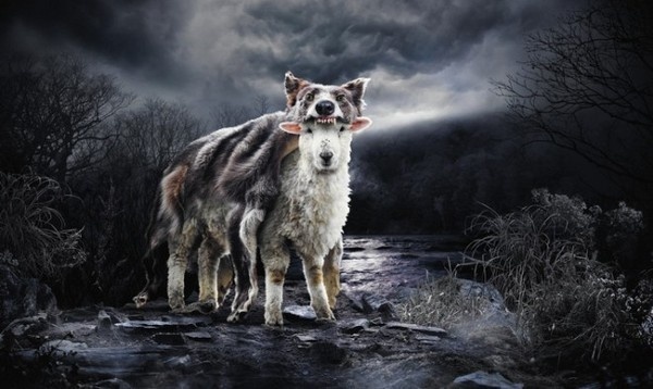 Philip Rostron #inspiration #creative #photography