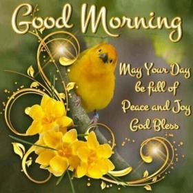 - Good Morning