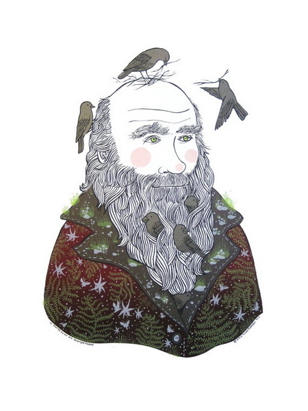 Darwin's Finches by Diana Sudyka #illustration #poster