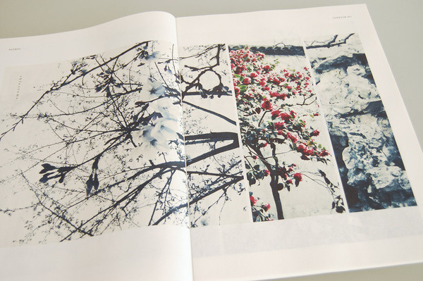 pepper-cinnamon-3 #layout #magazine #terroir
