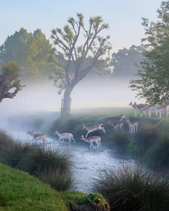 Breathtaking Nature and Landscape Photography by Cath Gothard